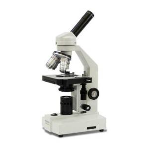 Microscope in Delhi NCR